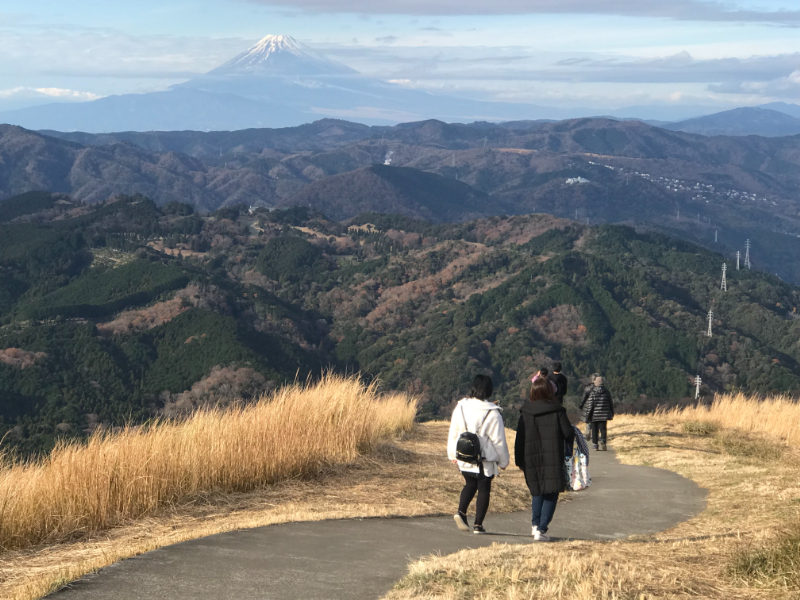 大室山の遊歩道